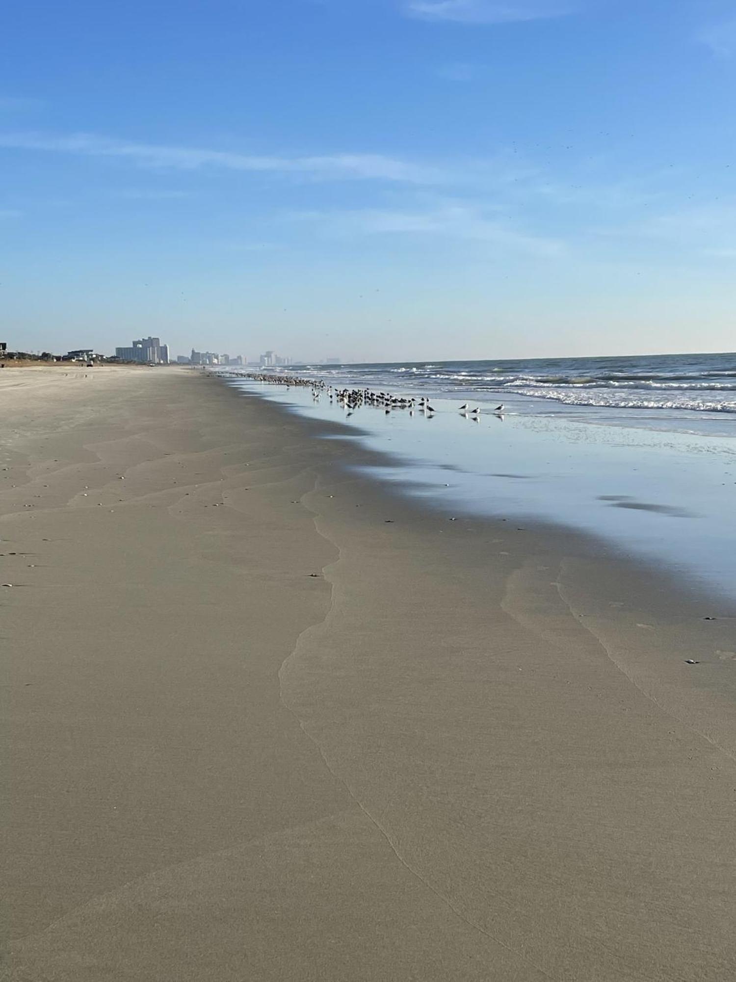 Blue Palmetto Vacation Rentals Myrtle Beach Exterior photo