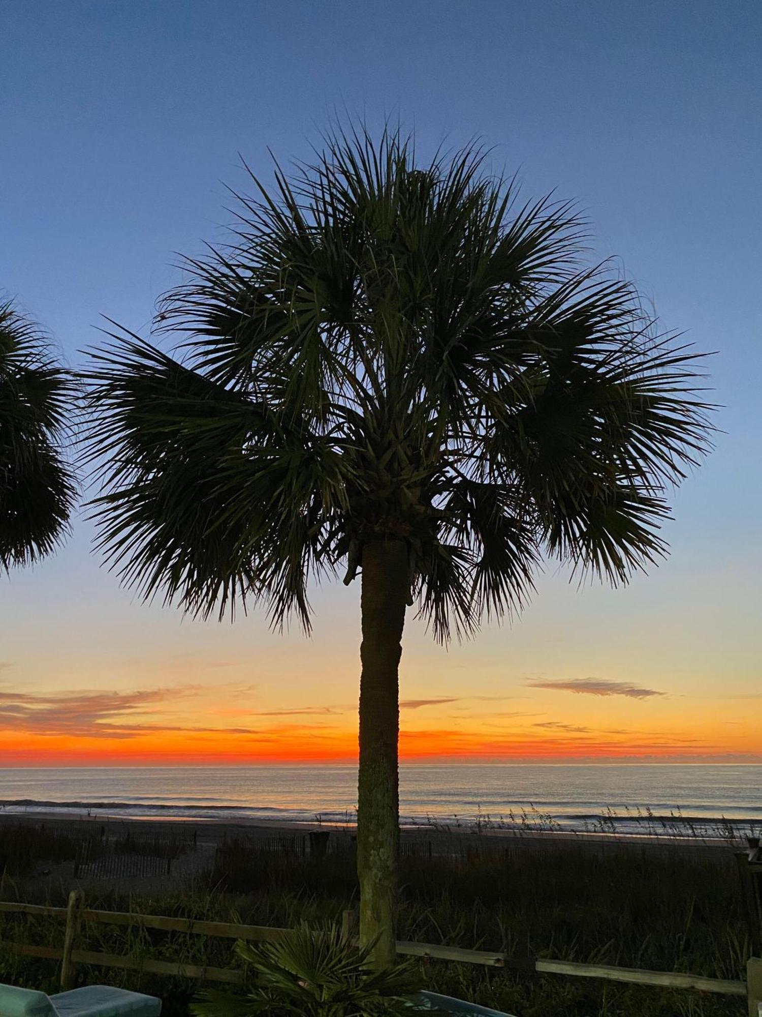 Blue Palmetto Vacation Rentals Myrtle Beach Exterior photo